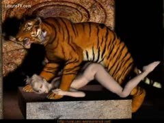 Big dick tiger wrecking the wet pussy of sexy beastie gal